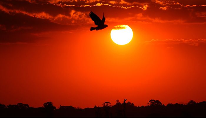  Com La Niña, verão 2025/2026 foi marcado por chuvas irregulares e temperatura de 39,7°C 